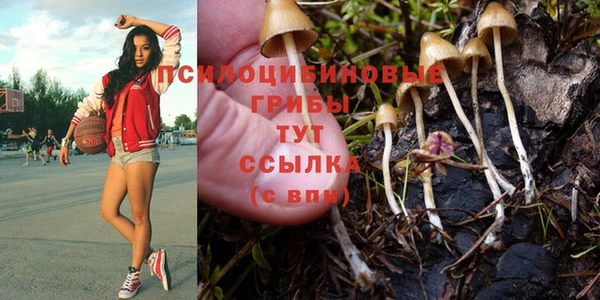 кристаллы Надым
