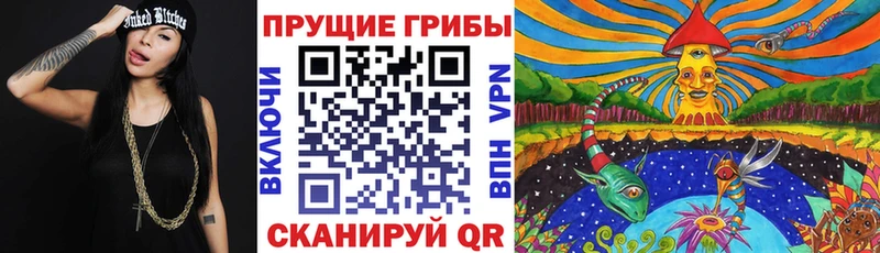 Купить  Цимлянск  Псилоцибиновые грибы Magic Shrooms 